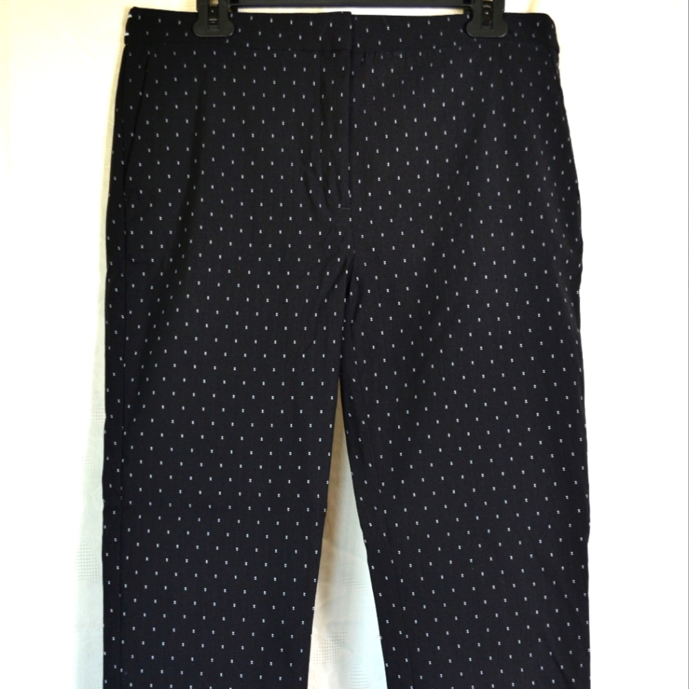 Zara Basic Collection Ankle Pant